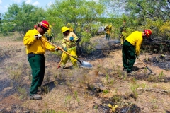 Wildland_Fire_Training