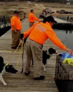 Hatter Cove Dogs on Dock