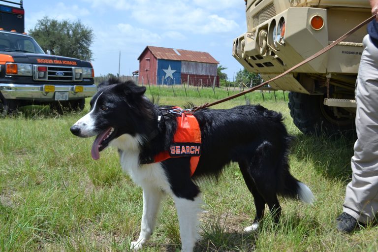 TEXSAR K9 Team Texas Search and Rescue